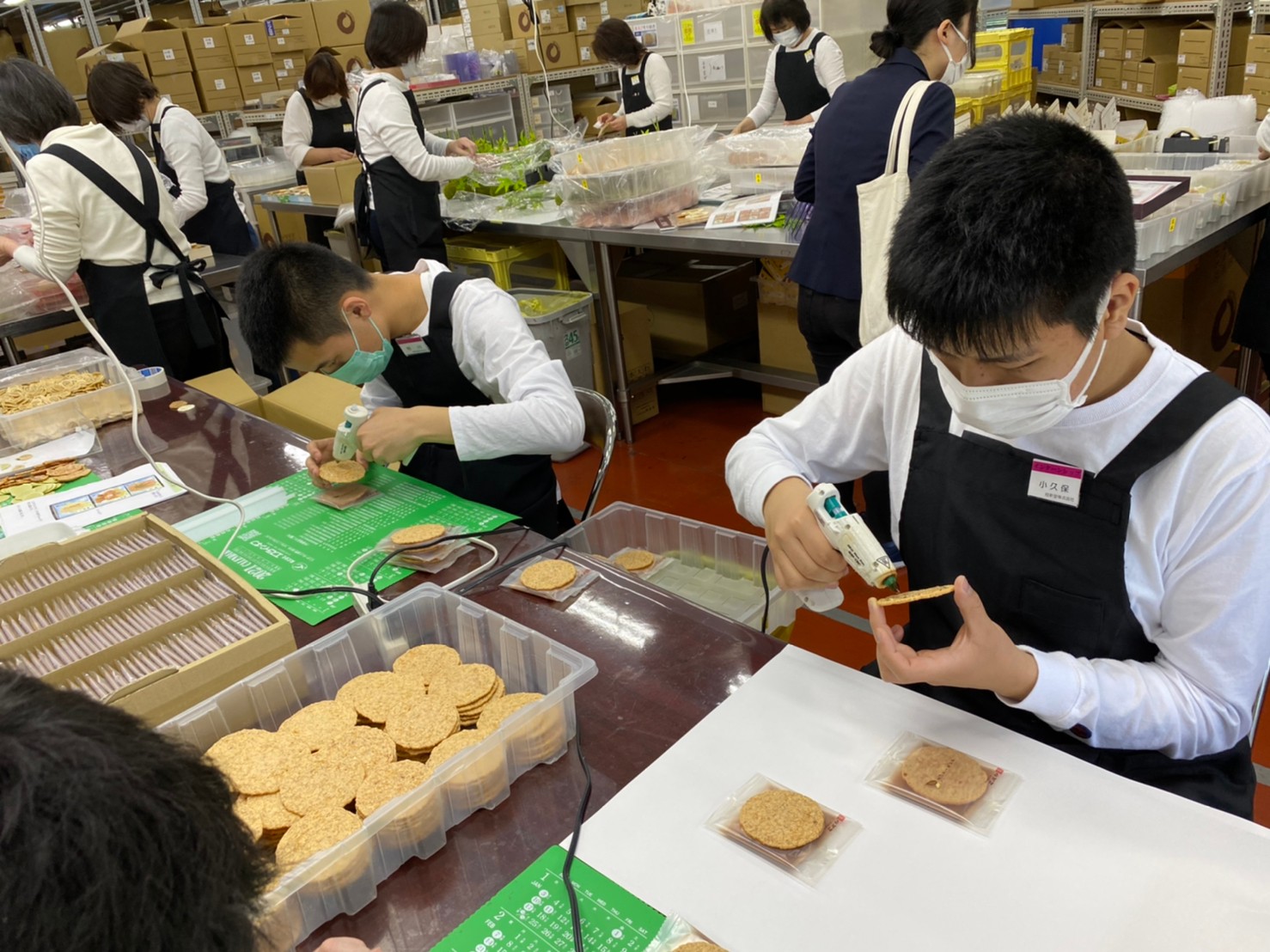 桂 新堂 株式 会社