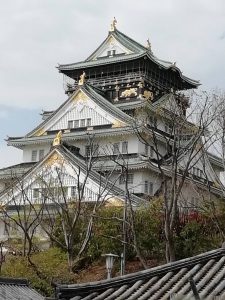 今日から学校です！！