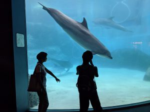 名古屋港水族館