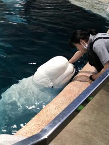 ３か月ぶりの名古屋港水族館