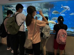 水族館に行ってきました。