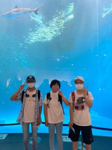 真夏で楽しい水族館