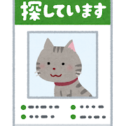 近況報告＆悩み(人生の希望を探しています)