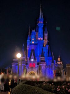 ディズニランド